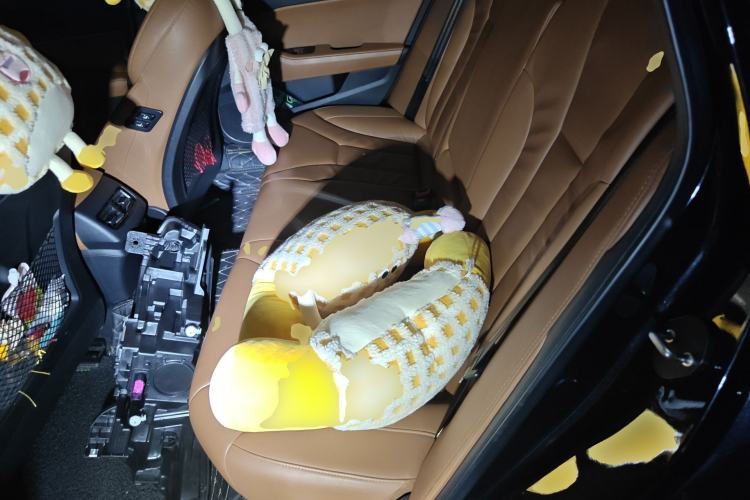 Used Hongqi H5 2018 30TD Smart Connect Dynamic Edition Left Rear Seat