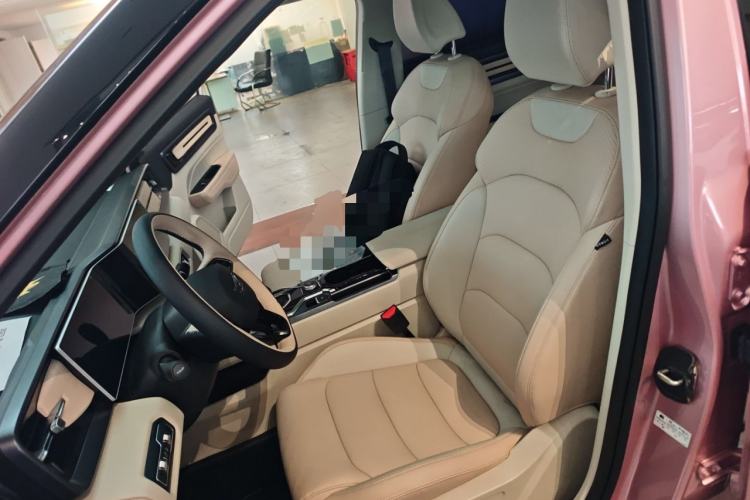 Used Geely Auto icon 2023 1.5TD Chocolate Smoothie Edition Left Front Seat