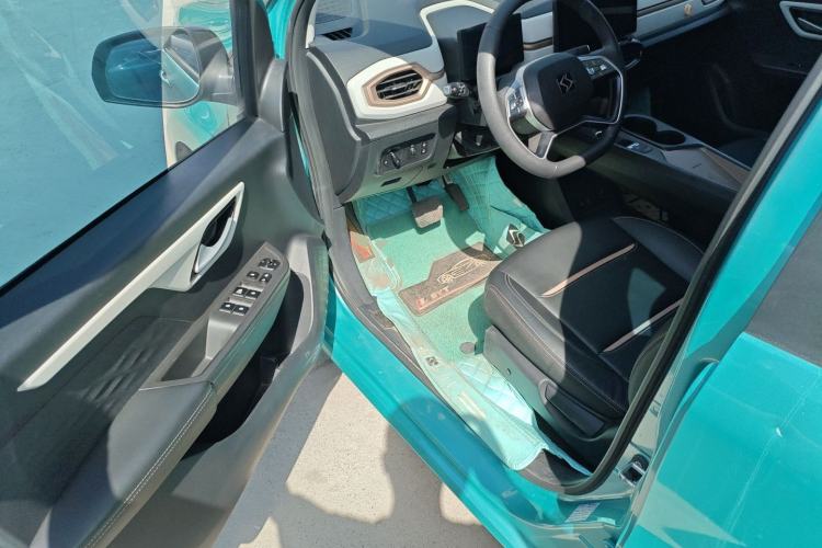 Used SOL E10X 2022 Flower Fairy Design Four-Leaf Clover
