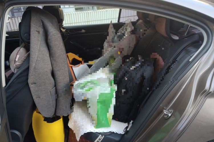 Used Volkswagen Magotan 2017 330TSI DSG Luxury Model Left Rear Seat