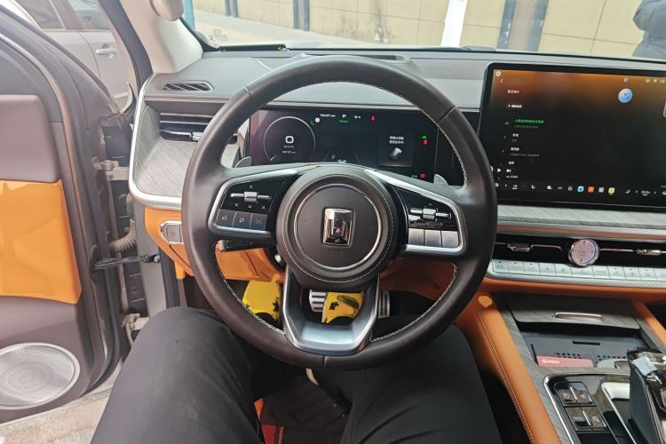 Used Tank 500 New Energy 2024 Hi4-T