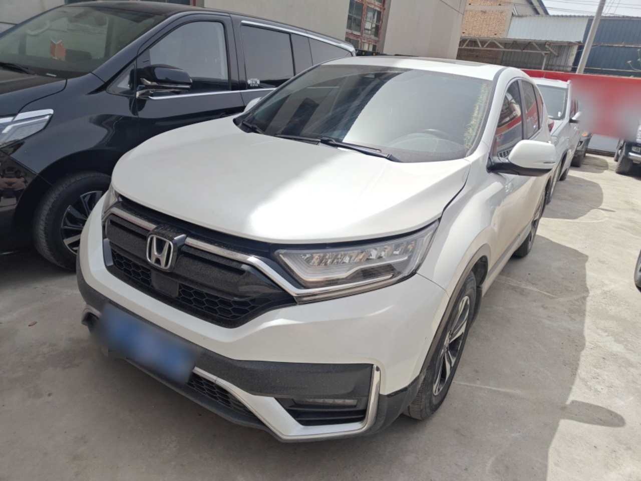 Parte inferior delantera