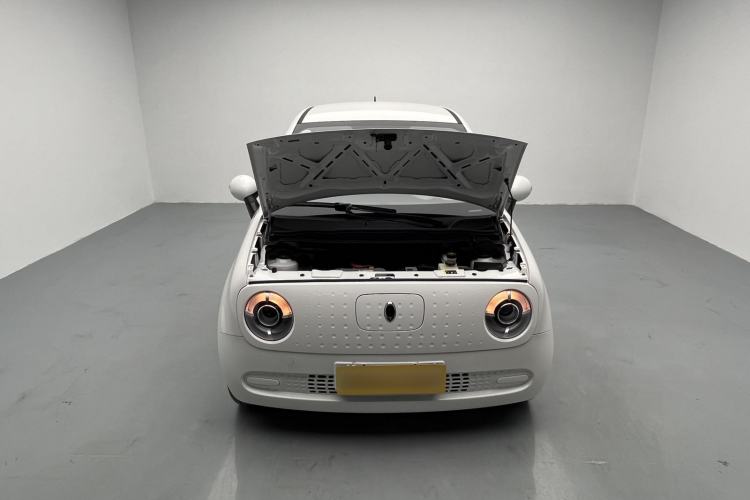 Used ORA Black Cat 2021 301km Cute Pet Edition