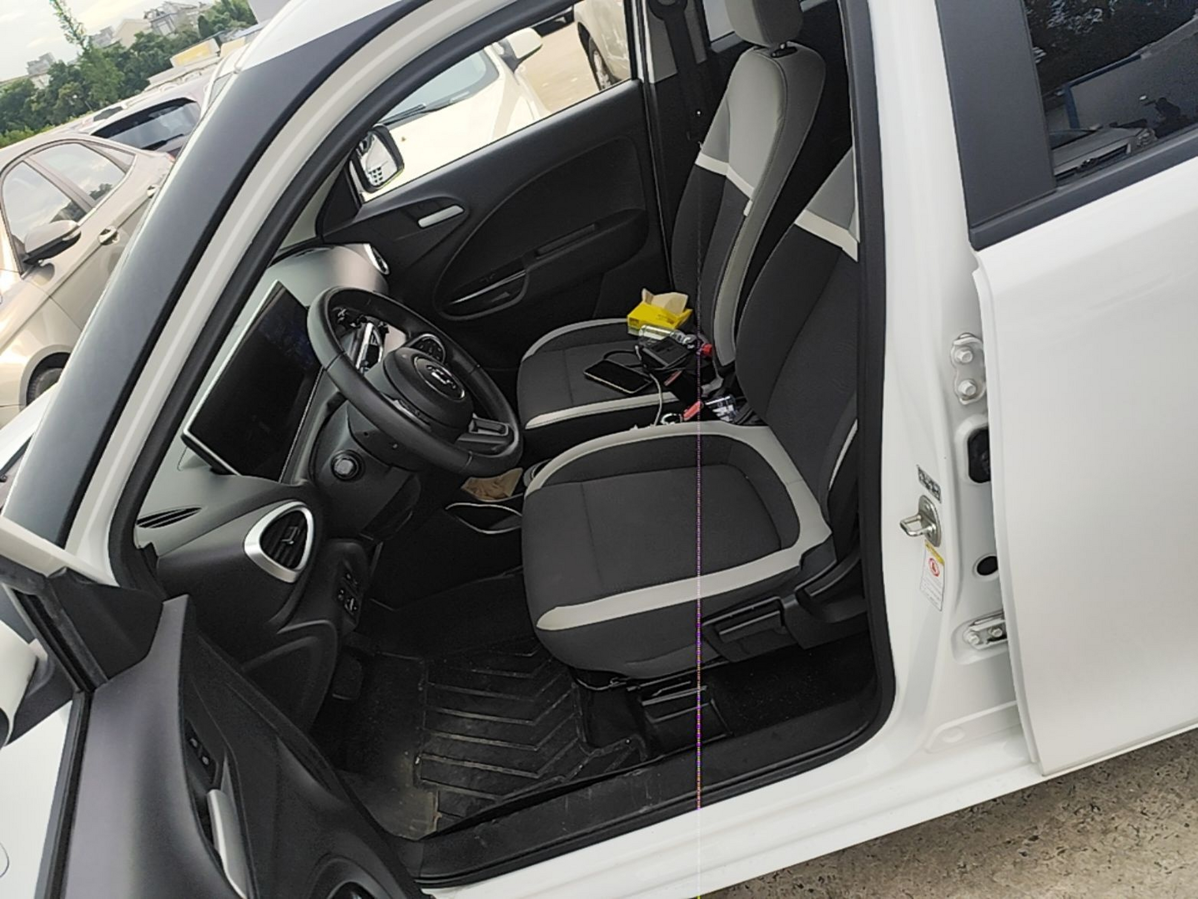 Interior delantero