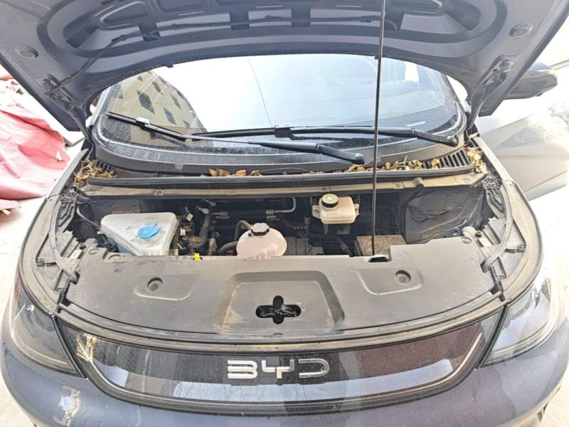 Used BYD Dolphin 2025 Intelligent Driving Version 410 km Fashion Edition — 19