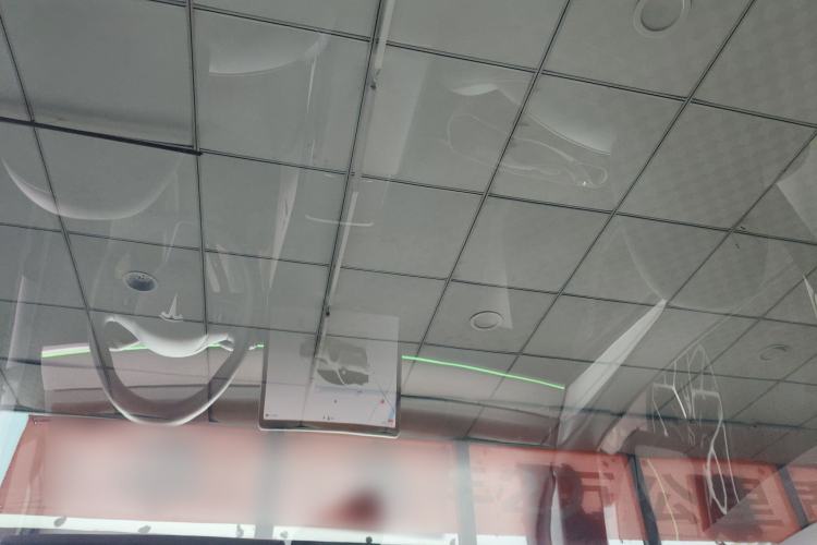 Used Tesla Model Y 2024 Rear-Wheel-Drive Version Headliner