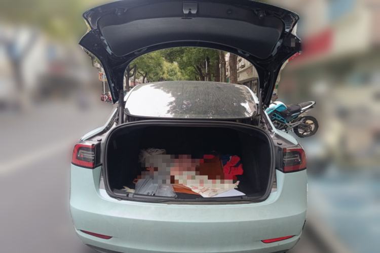 Used Tesla Model 3 2022 Performance High-Performance All-Wheel-Drive Version