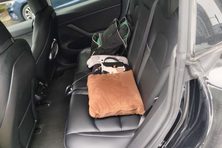 Used Tesla Model 3 2022 Rear-Wheel-Drive Version Left Rear Seat