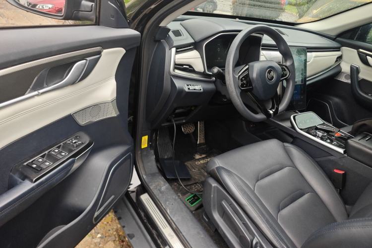 Used WM Motor EX5 2019 EX5 Mate Weymeng Edition 400 Driver Seat