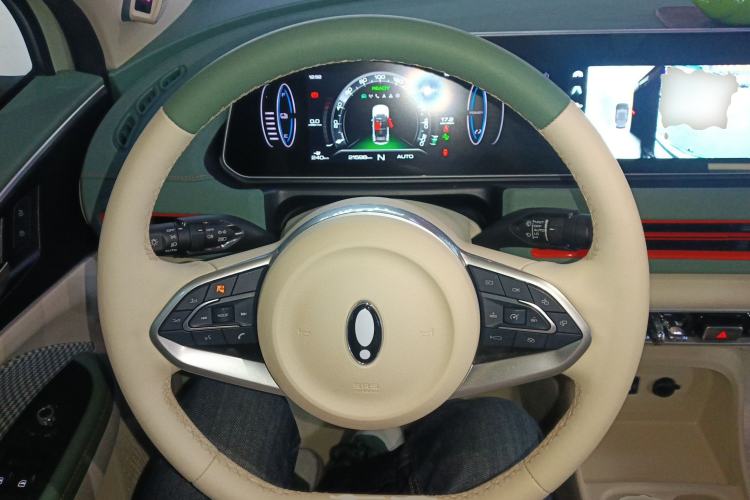 Used ORA Good Cat 2022 Morandi Edition 400km Standard Range Premium Version Lithium-Ion Battery Steering Wheel