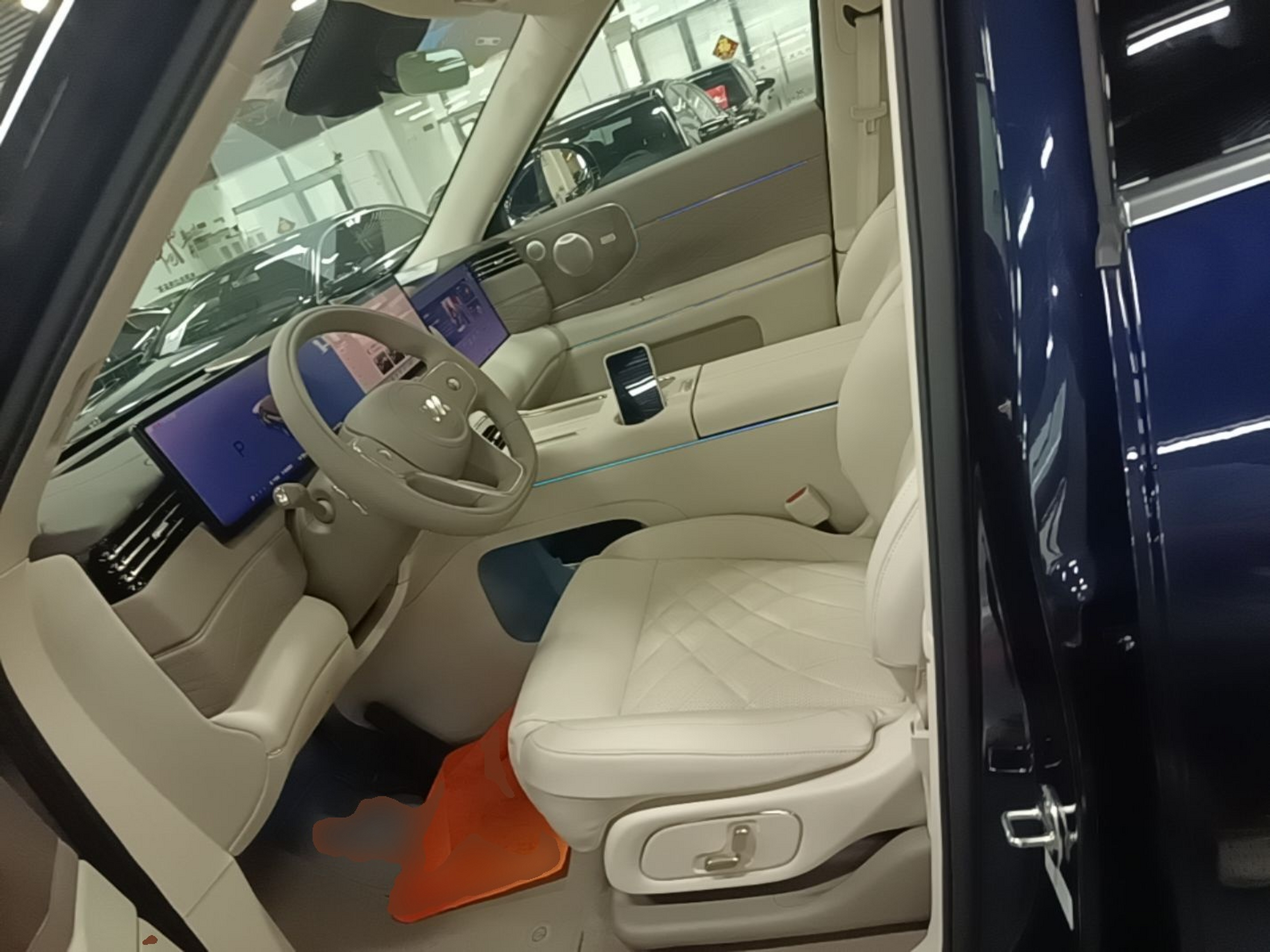 Interior delantero