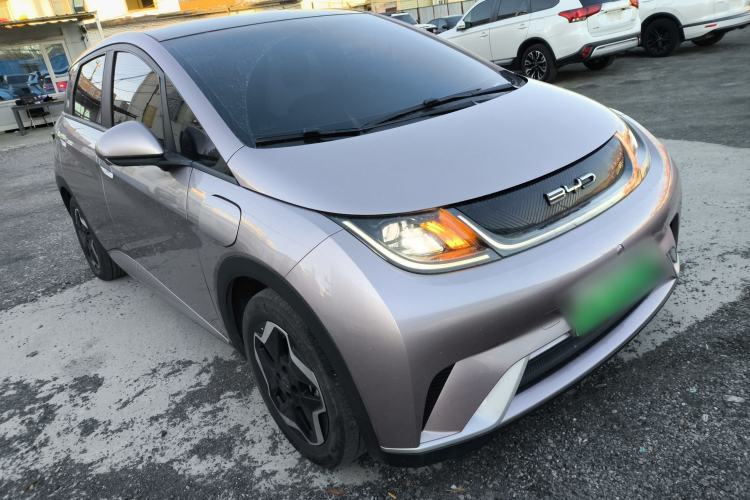 Used BYD Dolphin 2021 405 km Fashion Edition
