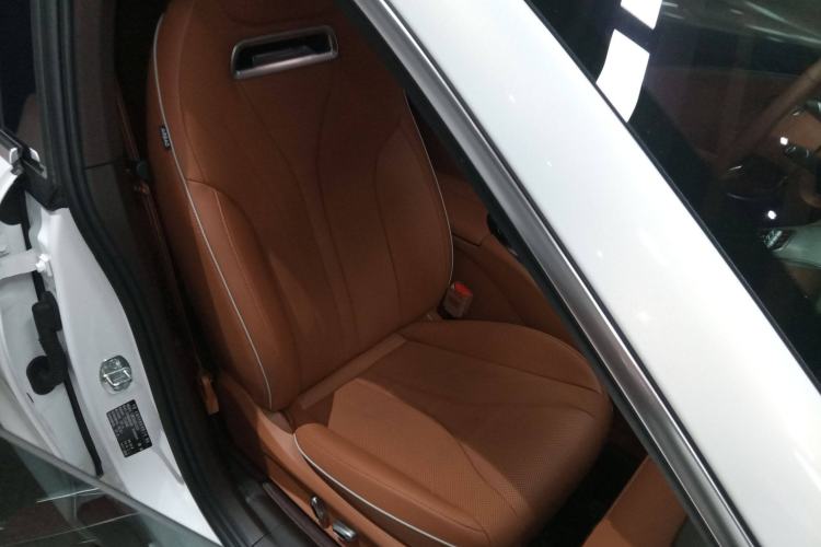 Used ORA Lightning Cat 2022 555 km Luxury Edition