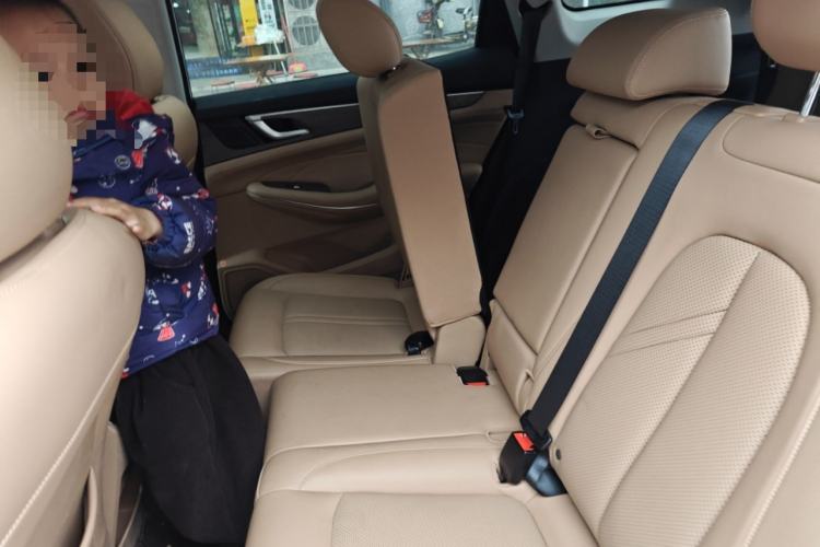 Used Landian E5 2023 1.5L DE-i 100KM Comfort Edition 7-Seater
