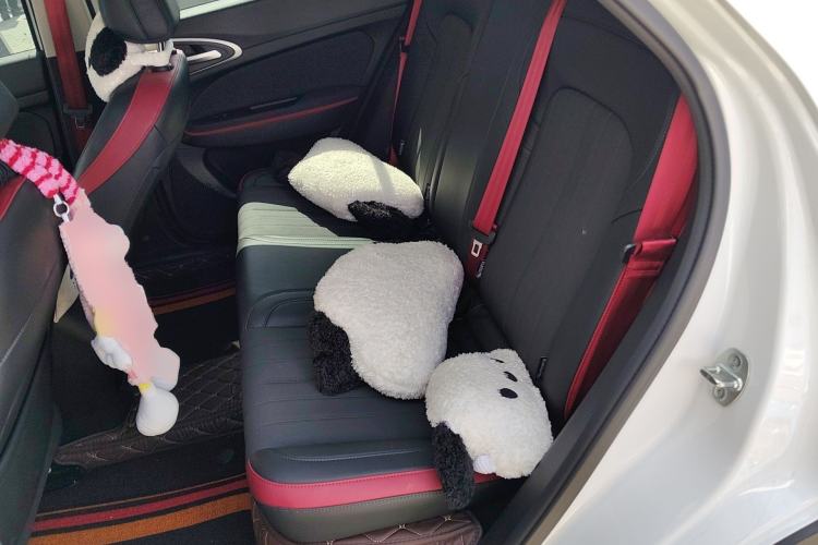 Used ORA Good Cat GT 2023 Mulan Edition 401km Luxury Version Left Rear Seat