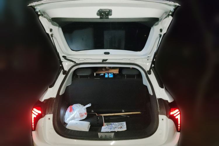 Used NETA V 2021 Long-Range Entertainment Edition Upgrade Model