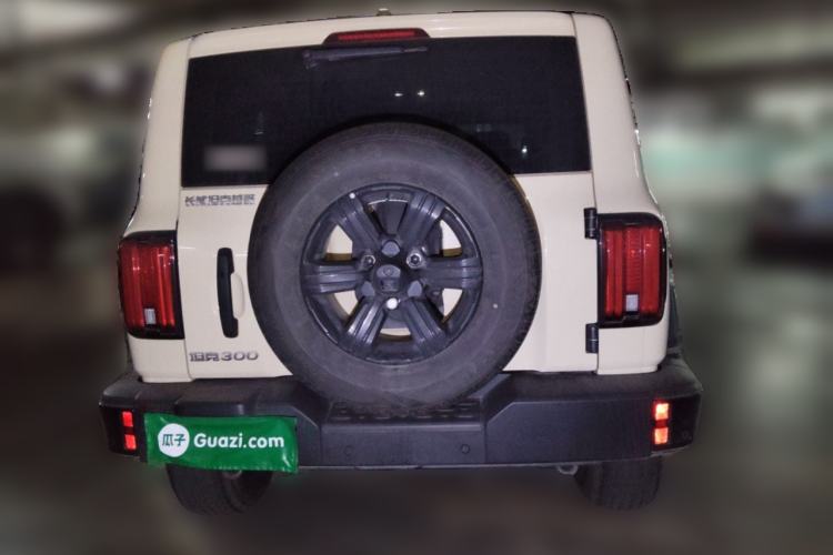 Used Tank 300 2025 2.0T Conqueror Rear