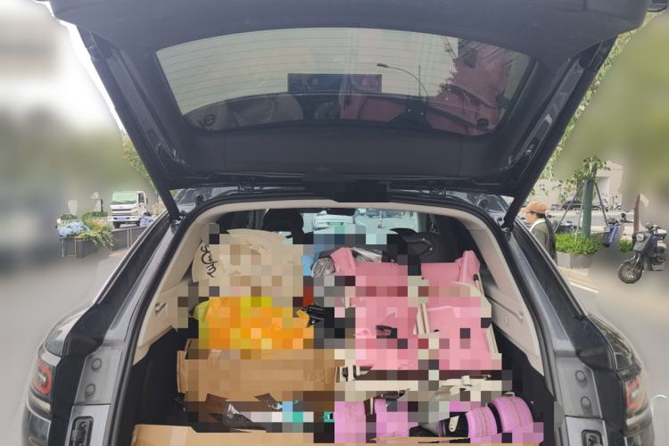 Used Leapmotor C11 2024 Range-Extended 300 Luxury Edition
