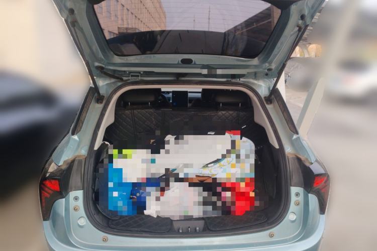 Used NETA V 2022 Long-Range Industry Custom Edition