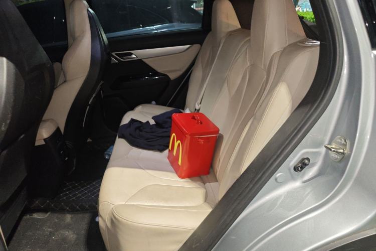 Used XPeng G3 2019 Smart Edition Left Rear Seat