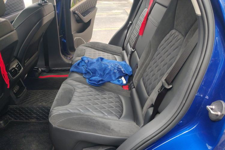 Used Hongqi HS5 2019 2.0T Smart Connect Flagship All-Wheel-Drive Version Left Rear Seat