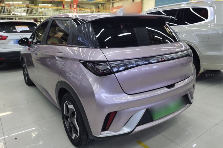 Used BYD Dolphin 2021 405 km Fashion Edition Rear Left 45 Deg