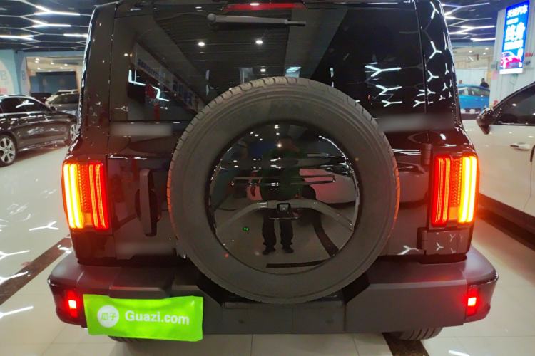 Used Tank 300 2024 2.0T Conqueror