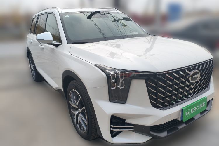 Used GAC Trumpchi GS8 2025 Linghang Series 2.0 TGDI Two-Wheel-Drive Luxury Edition 5 Seats
