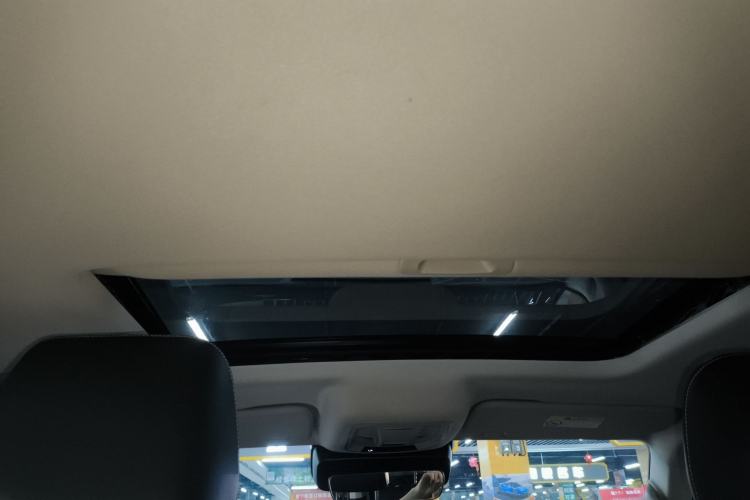 Used Tank 300 2024 2.0T Conqueror Headliner