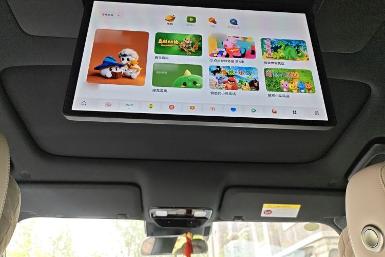 Used Li Auto L9 2023 Pro Model Headliner