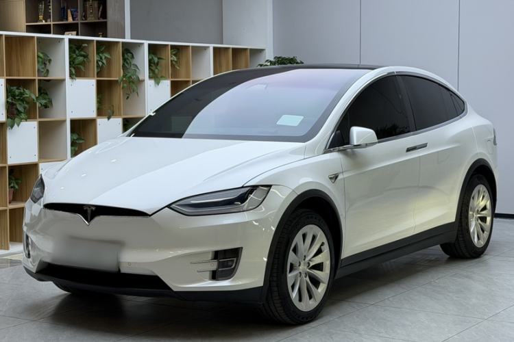 Used Tesla Model X 2020 Long-Range Upgrade Version