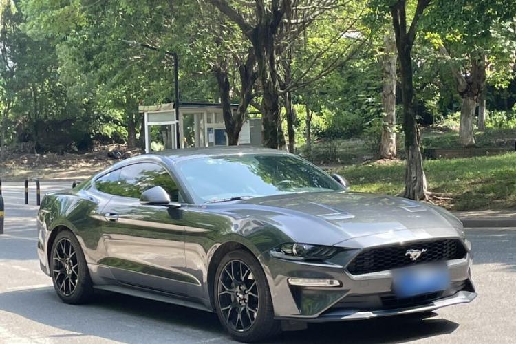 Used Ford Mustang 2019 2.3L EcoBoost Performance Enhanced Edition
