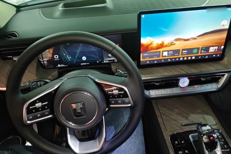 Used Tank 500 New Energy 2024 Hi4-T
