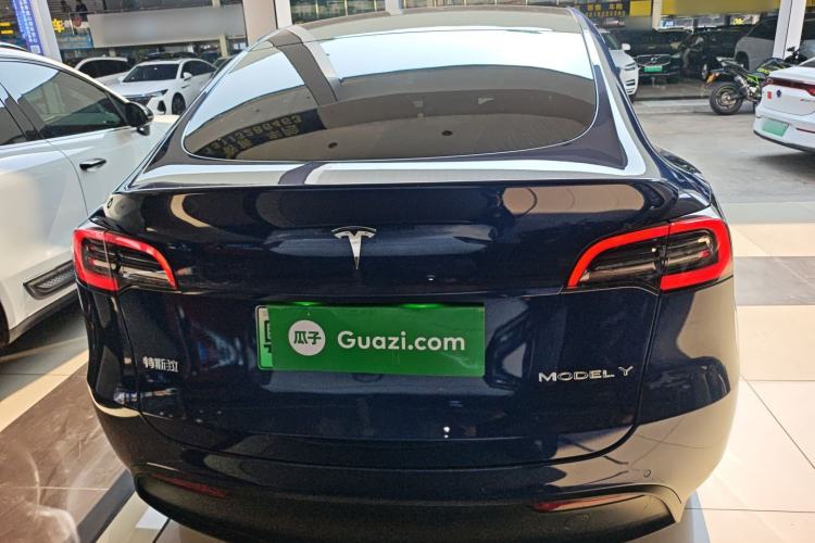 Used Tesla Model Y 2021 Standard Range Rear-Wheel Drive Version
