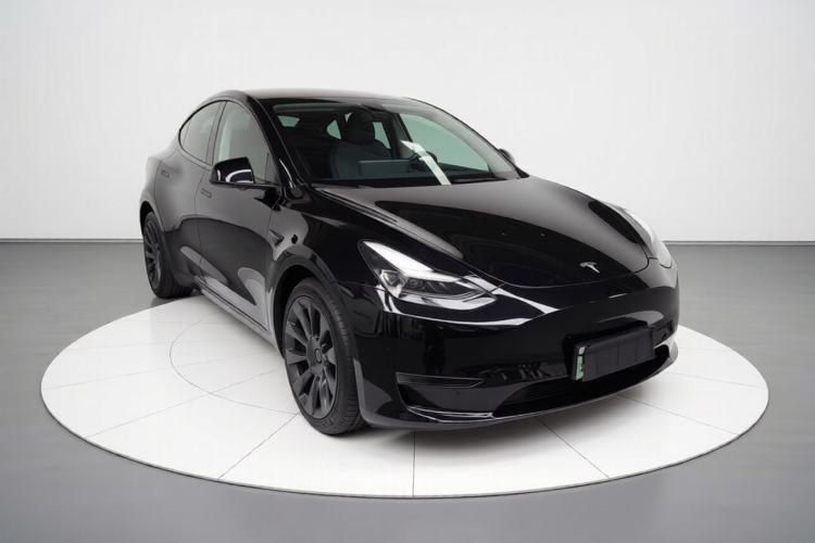 Used Tesla Model Y 2021 Standard Range Rear-Wheel Drive Version

