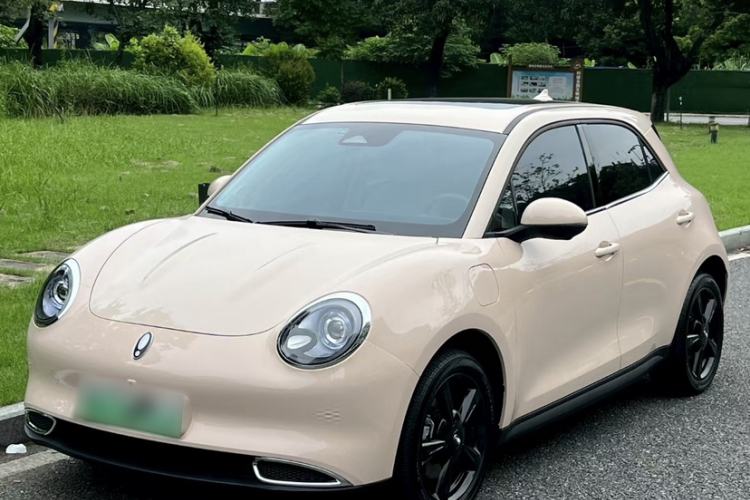 Used ORA Good Cat 2024 401 km Luxury Version Guazi used car, China used car export, Used car for sale, Used  cars, Cheapest cars for sale