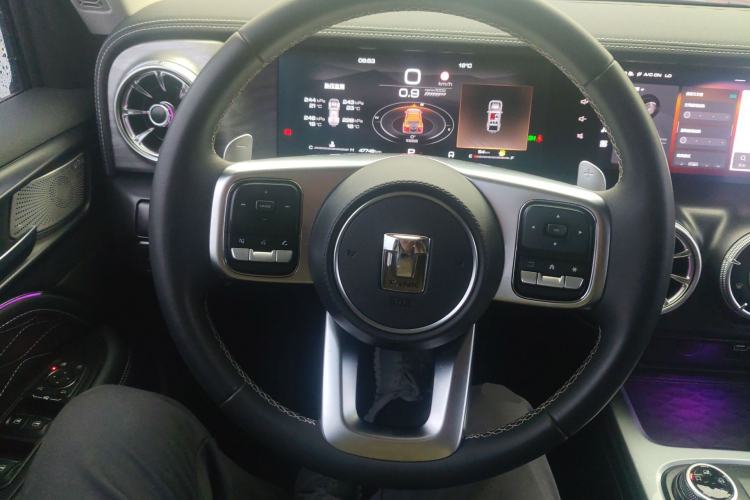 Used Tank 300 2021 Off-Road Edition 2.0T Challenger Steering Wheel