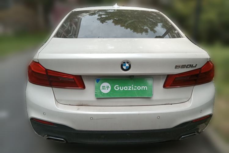 Used BMW 5 Series 2020 530Li Luxury Edition M Sport Package Rear