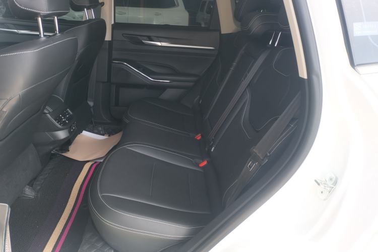 Used Haval H6 New Energy 2023 DHT-PHEV 110KM Enjoyment Edition Left Rear Seat