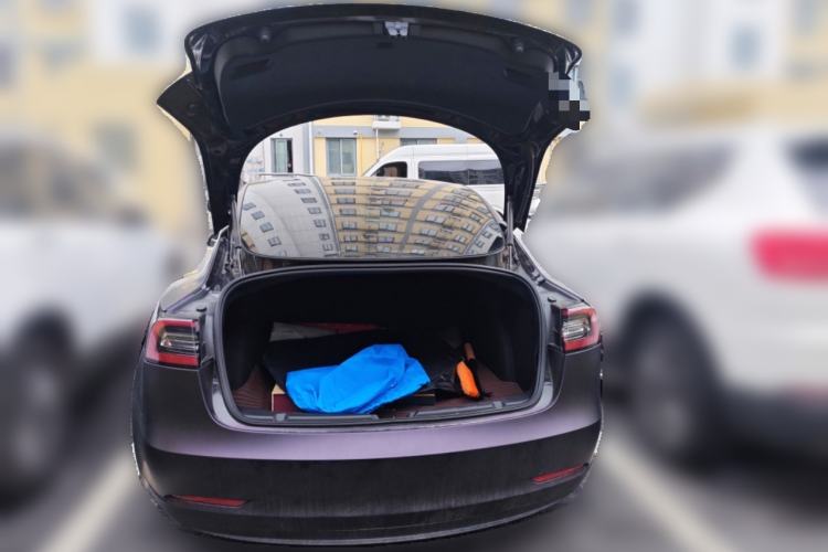 Used Tesla Model 3 2020 Standard Range Rear-Wheel Drive Upgraded Version