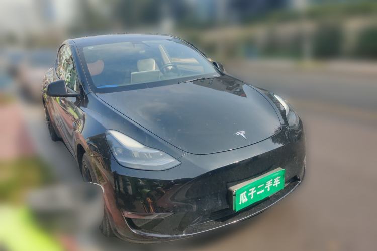 Used Tesla Model Y 2021 Standard Range Rear-Wheel Drive Version
