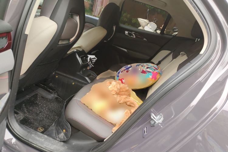 Used Lynk & Co 02 New Energy 2021 1.5T PHEV Pro Left Rear Seat