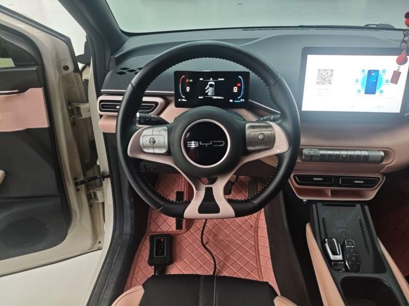 Used BYD Seagull 2023 Free Edition — 11