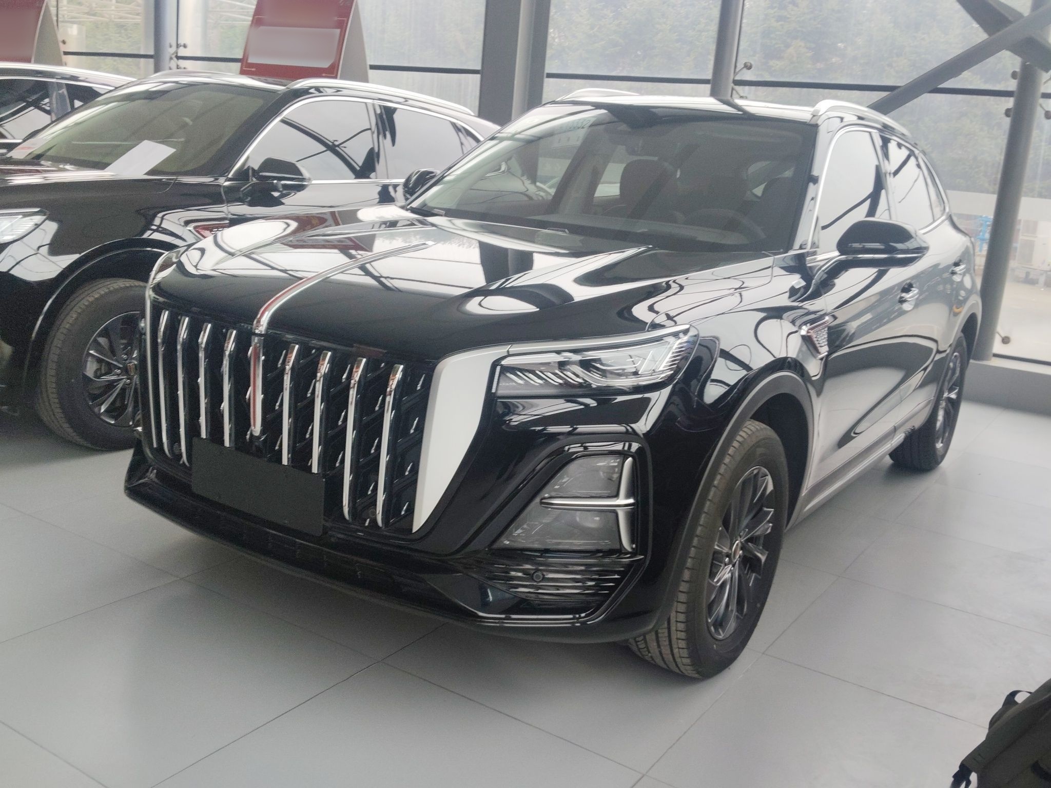 Parte inferior delantera