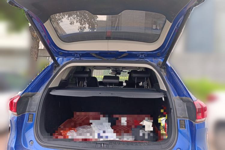 Used Wey VV6 2020 2.0T Two-Wheel Drive Smart Protection+ Trunk