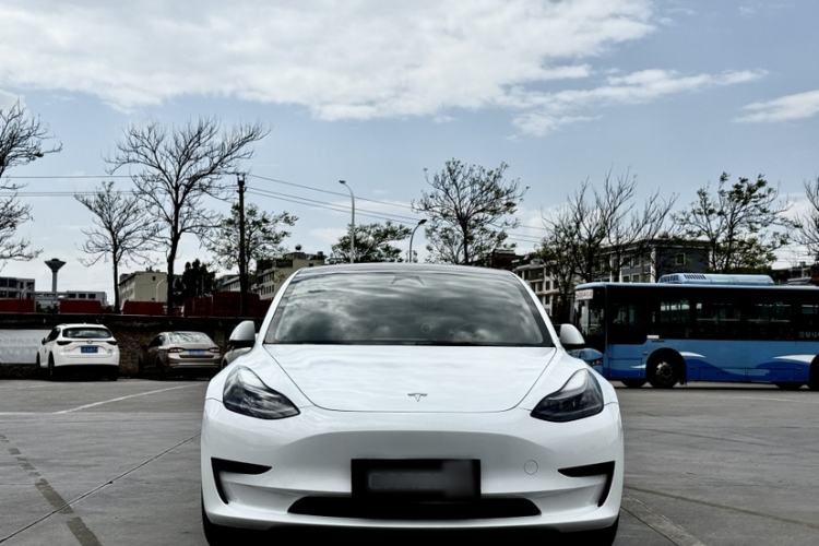 Used Tesla Model 3 2022 Rear-Wheel-Drive Version Exterior 4