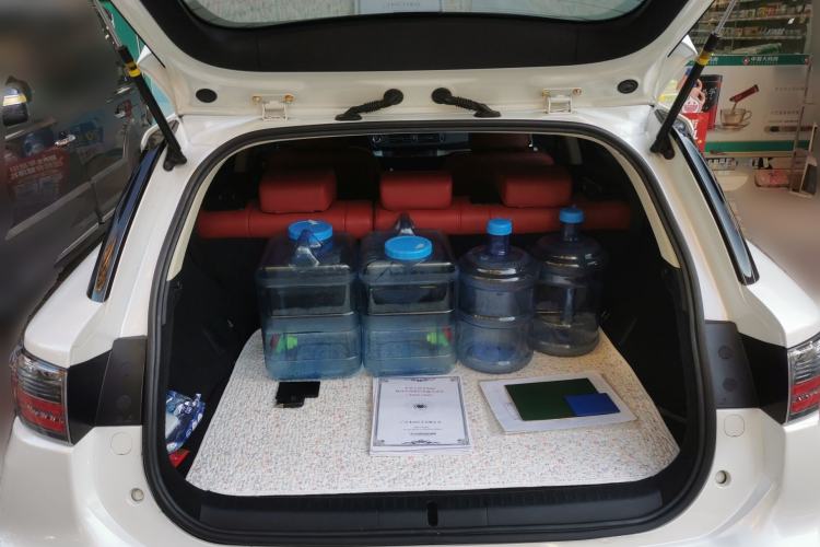 Used Lexus CT 2014 CT200h Elite Edition Monochrome Trunk