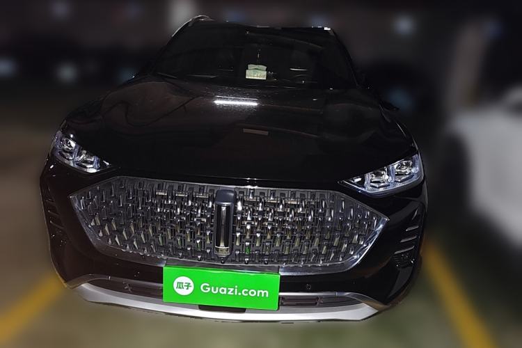 Used Wey Mocha 2021 2.0T Two-Wheel-Drive Premium Edition