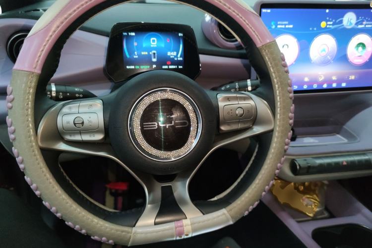 Used BYD Dolphin 2021 405 km Free Version
