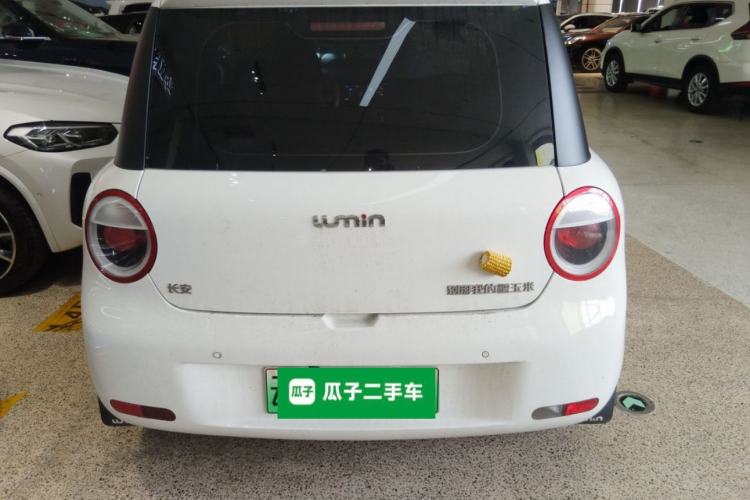 Used CHANGAN NEVO Lumin 2025 205 km Xiangqin Version
